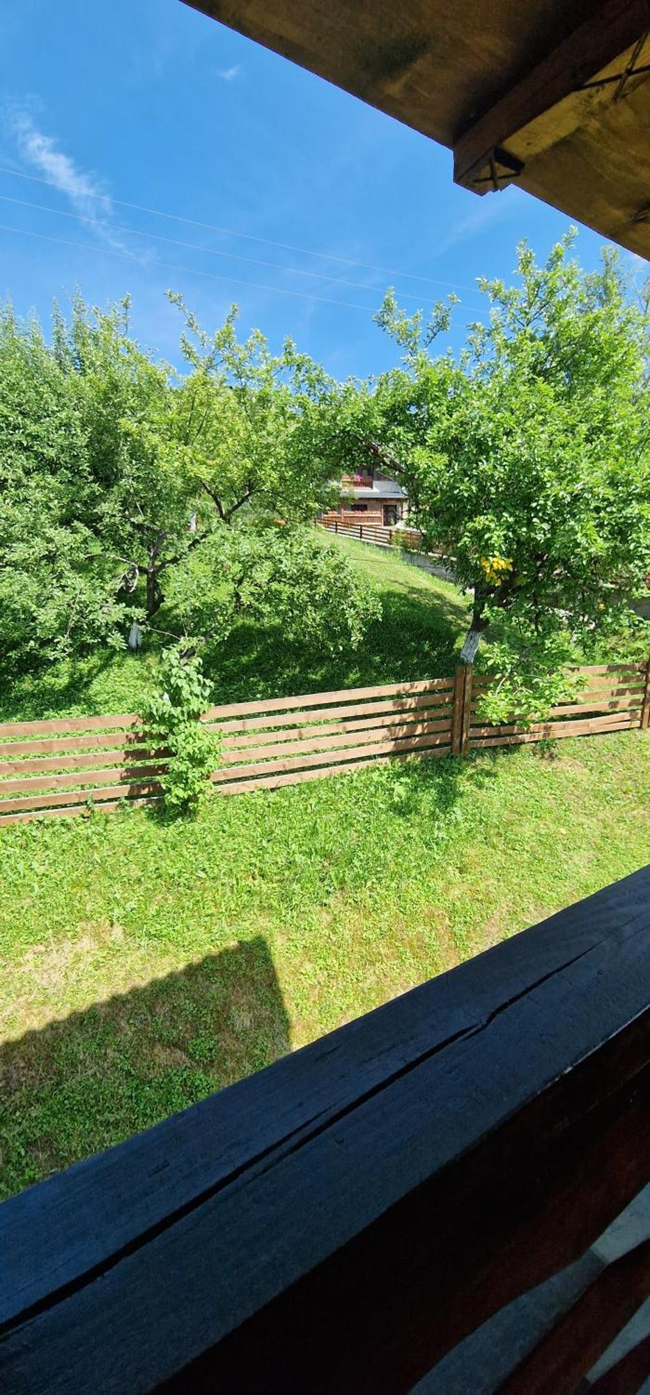 Hotel Casa Agroturistica Tarancuta Din Vatra Moldoviţei Exteriér fotografie