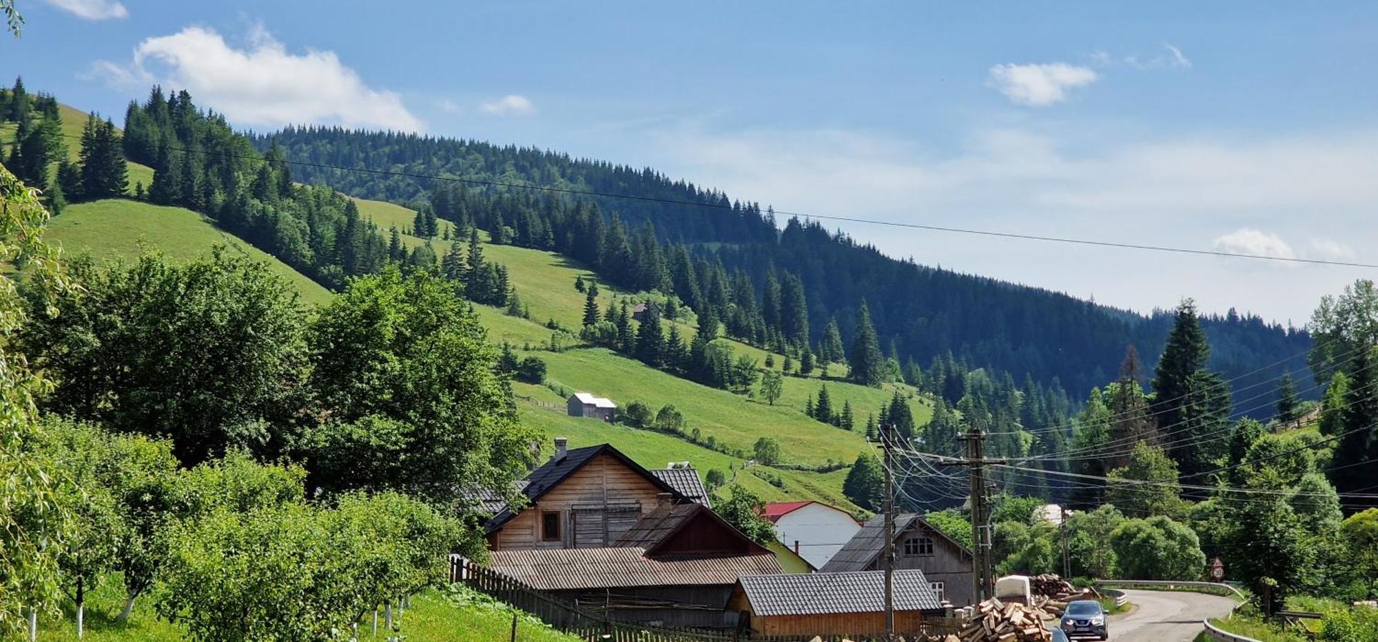 Hotel Casa Agroturistica Tarancuta Din Vatra Moldoviţei Exteriér fotografie